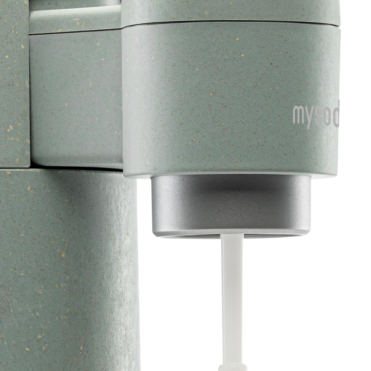 A close-up of a pigeon Mysoda Toby sparkling water maker